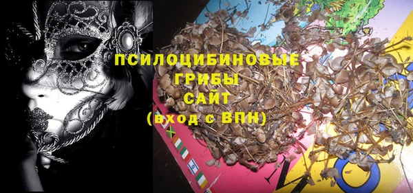 эйфоретик Богородицк