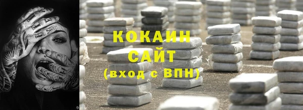 ECSTASY Богданович