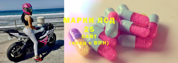 ECSTASY Богданович