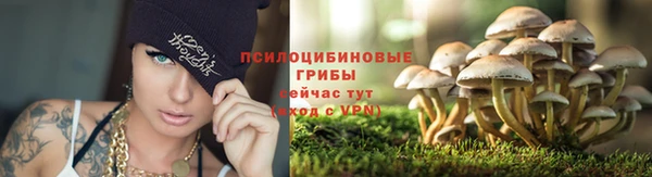 гидропоника Ступино