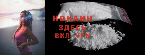 ECSTASY Богданович