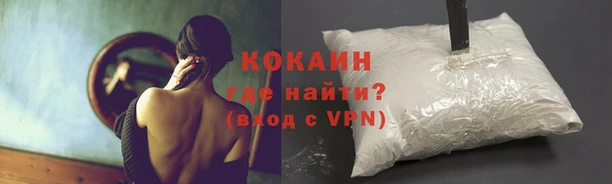 ECSTASY Богданович