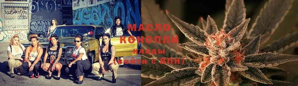 ECSTASY Богданович